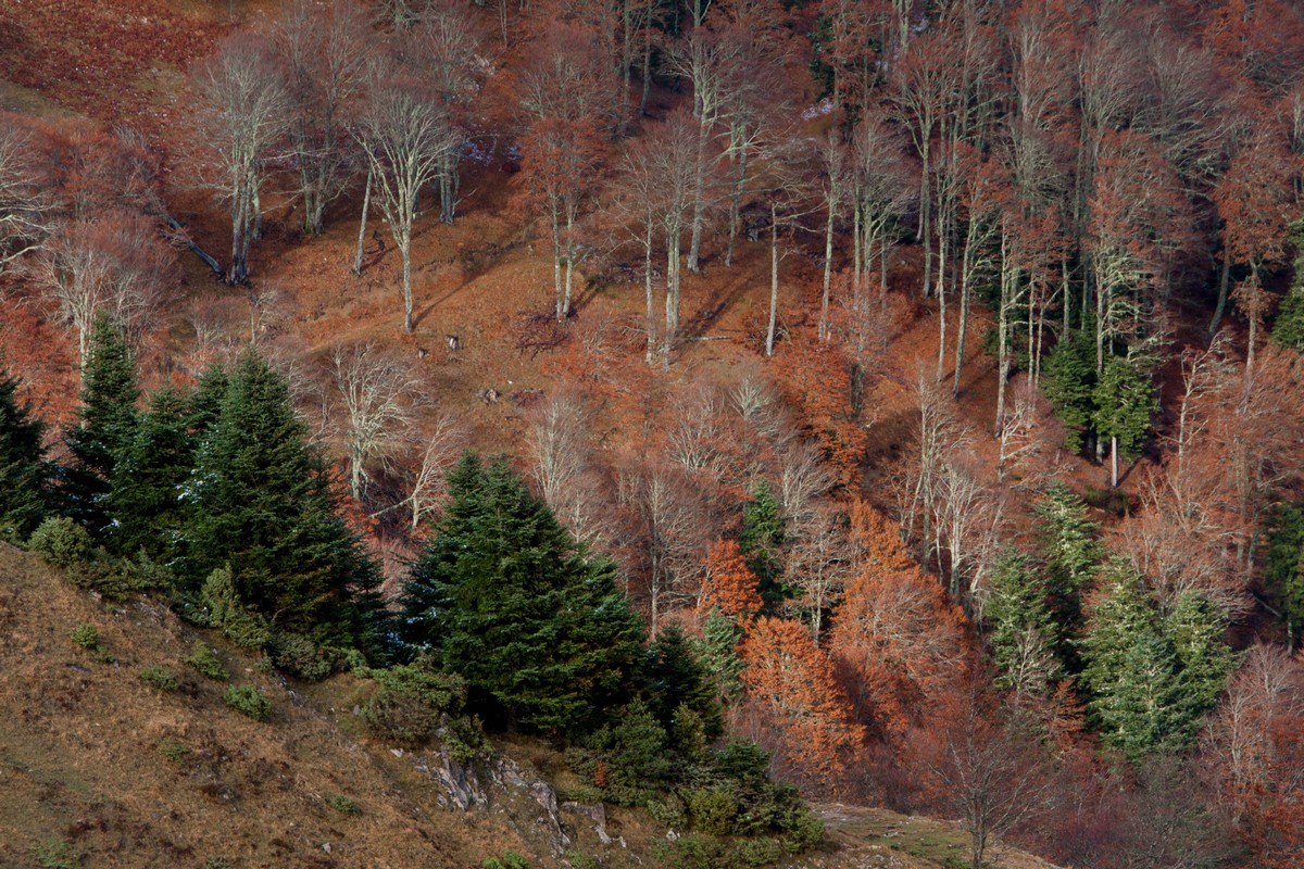 Vers la vallée