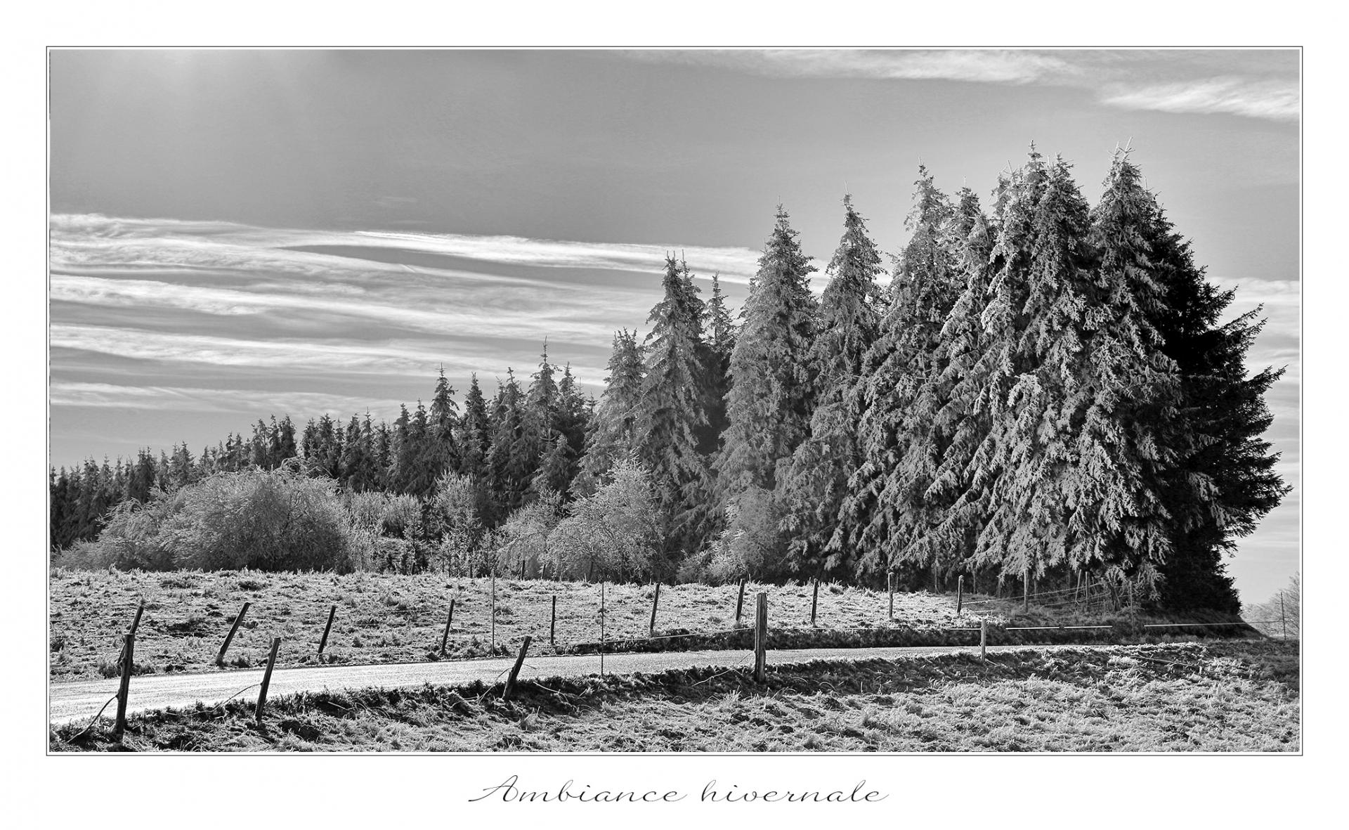 Ambiance hivernale
