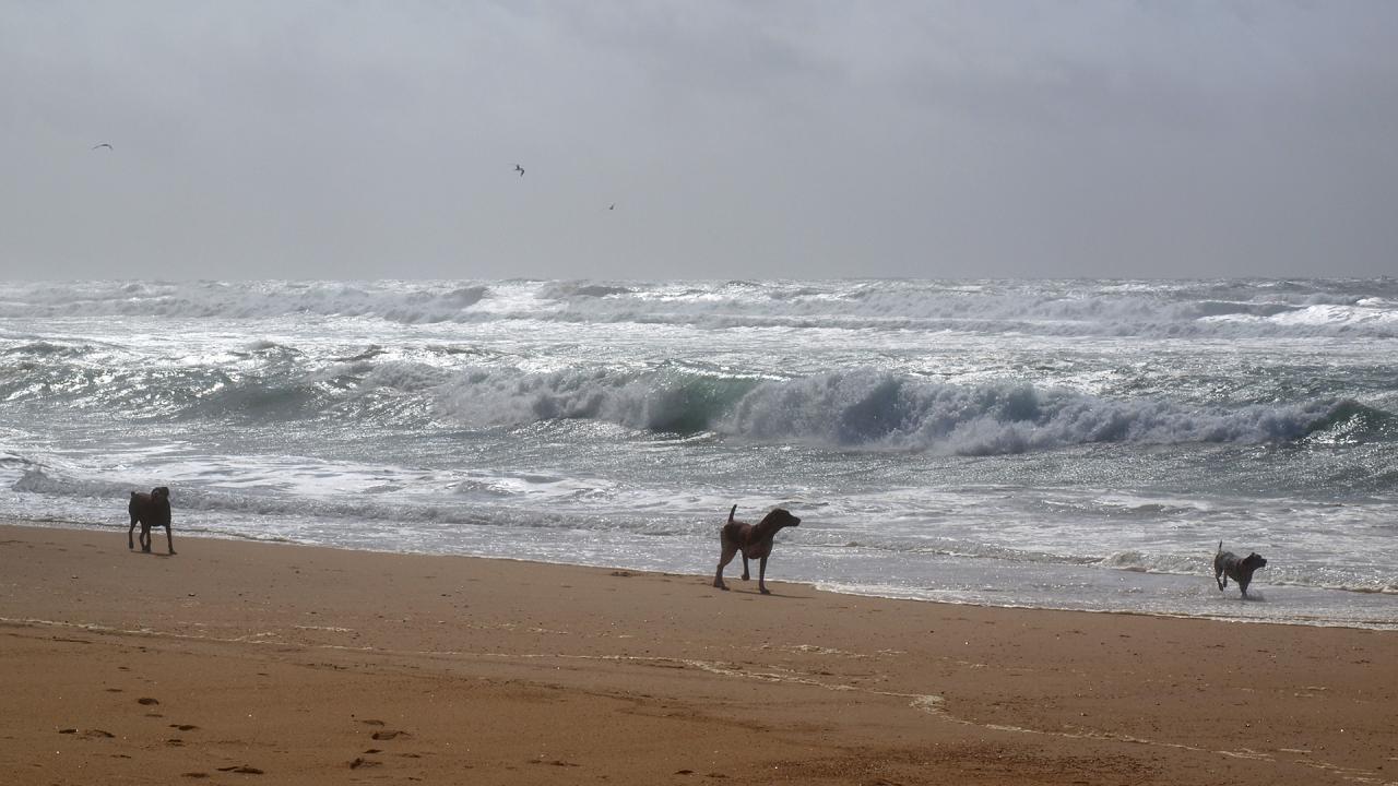 Bord de mer 4