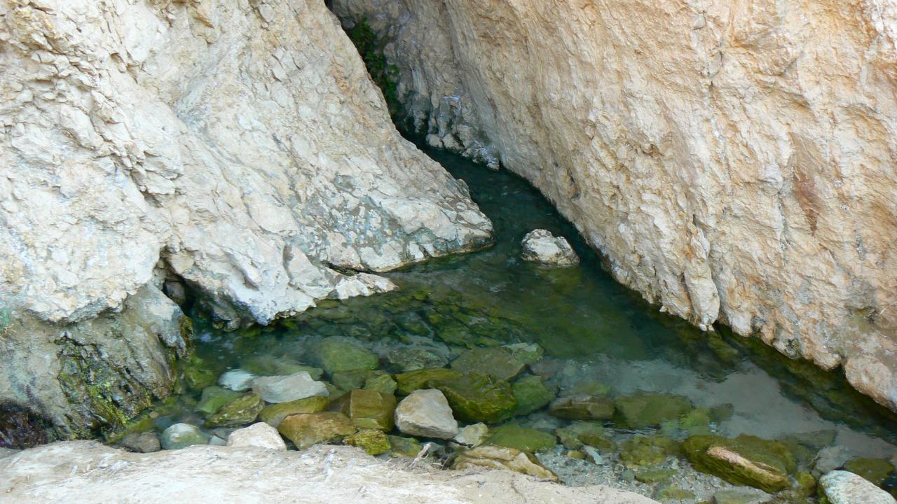 chelika tunisie