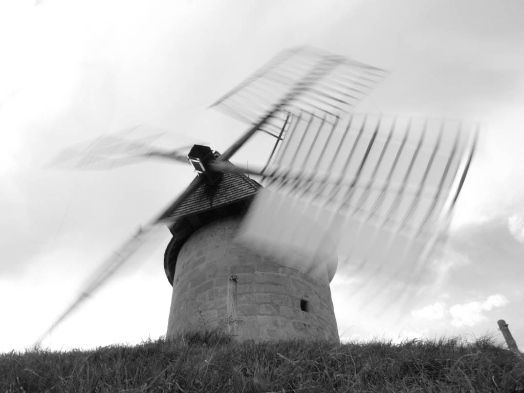 Dans le vent
