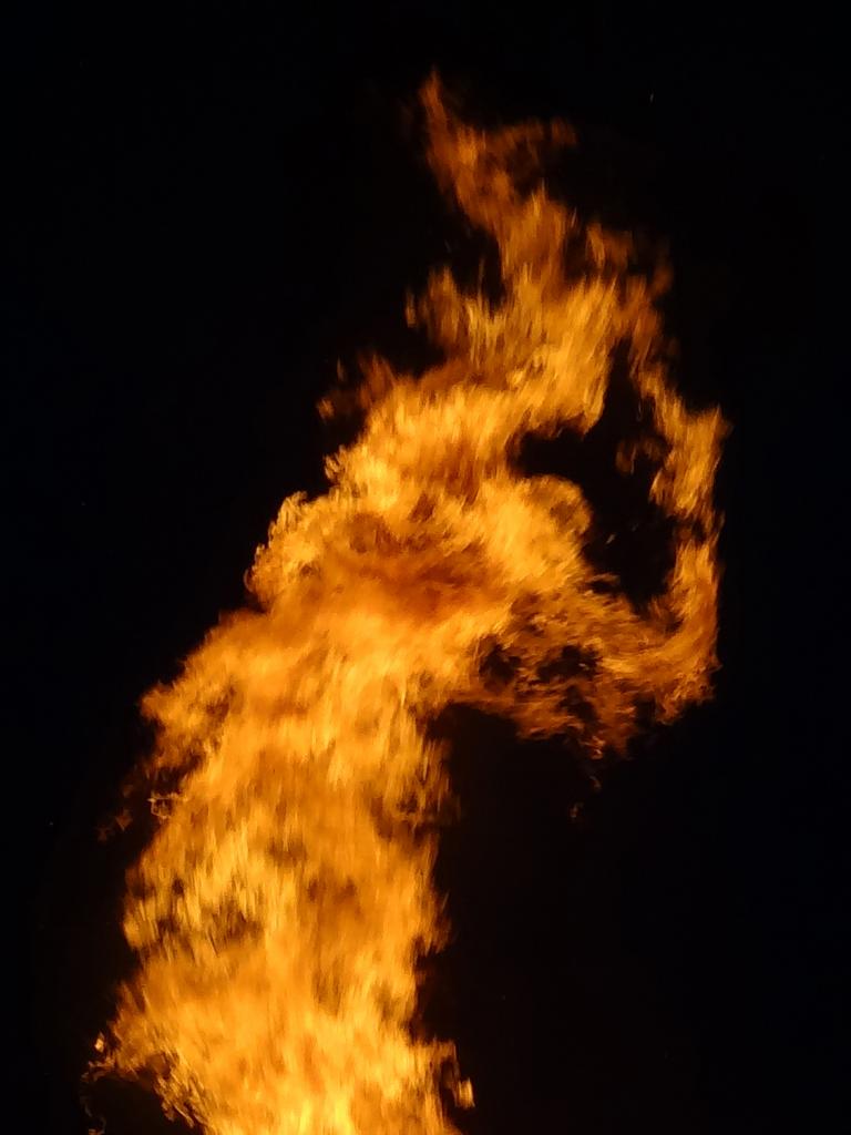 DSC00834