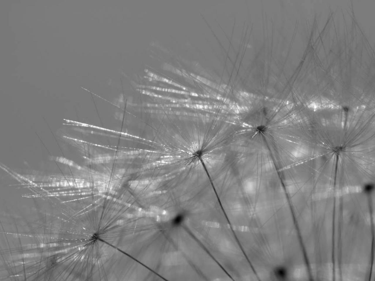 En noir et blanc