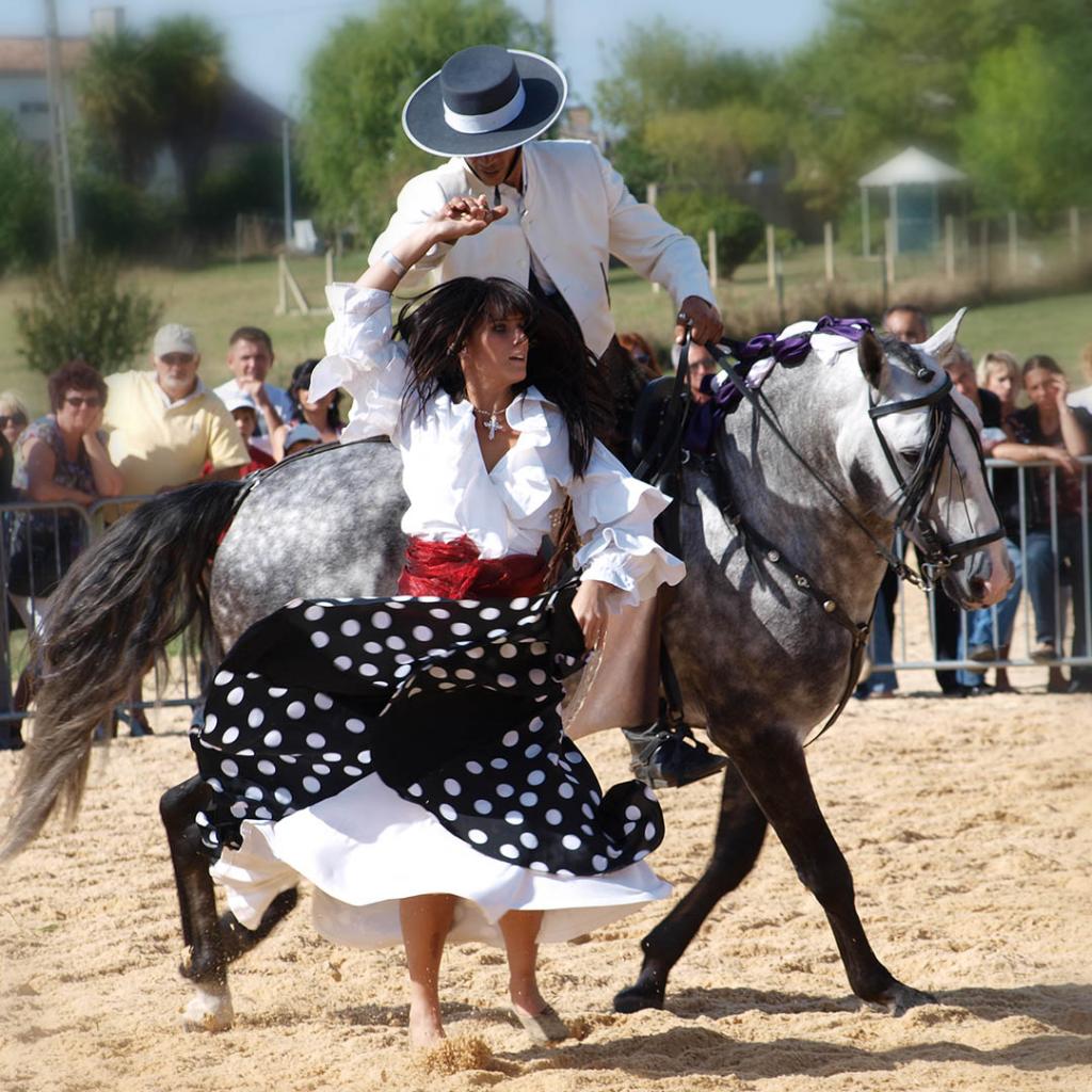 fête du cheval 3