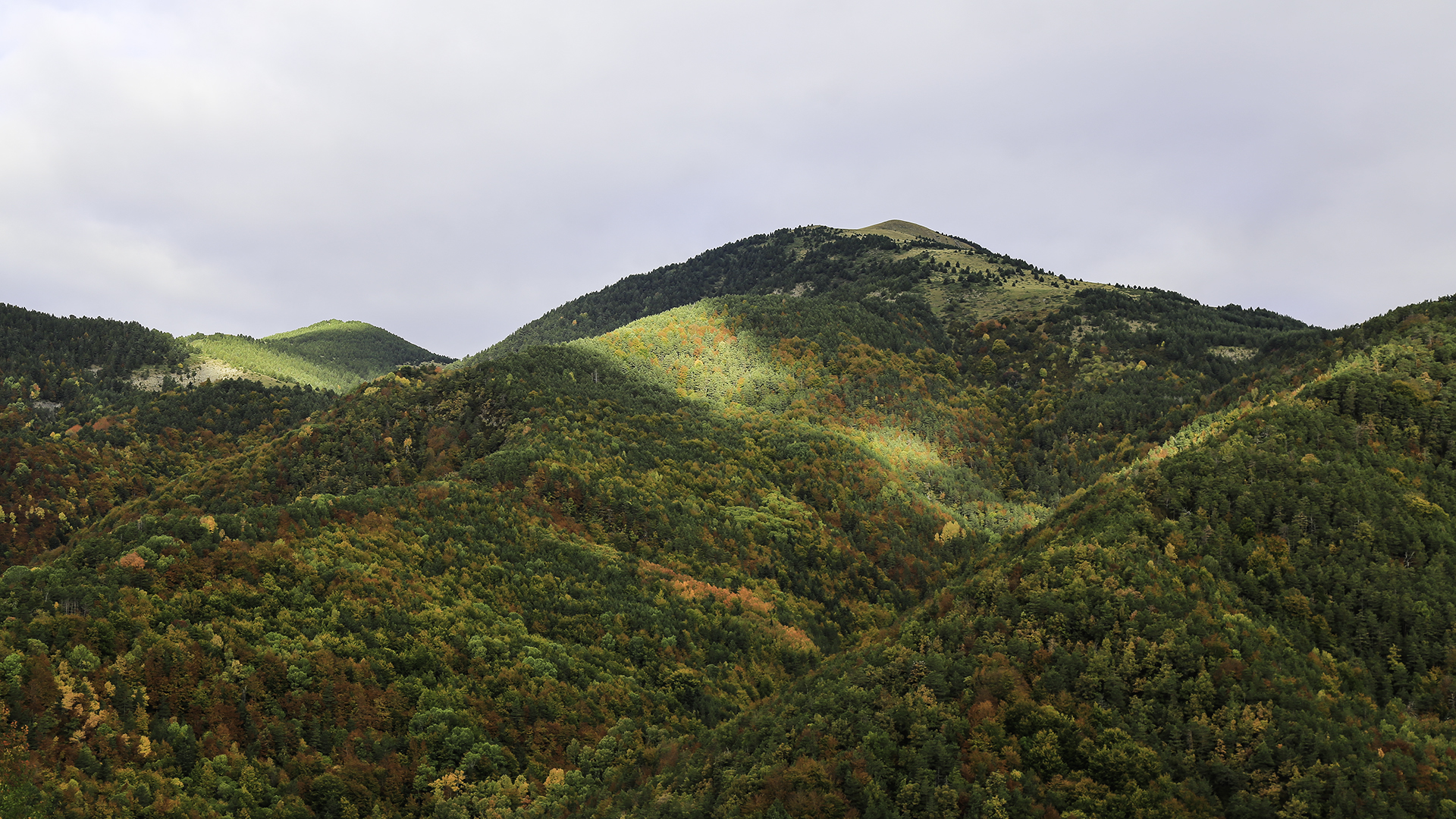 Haut Aragon