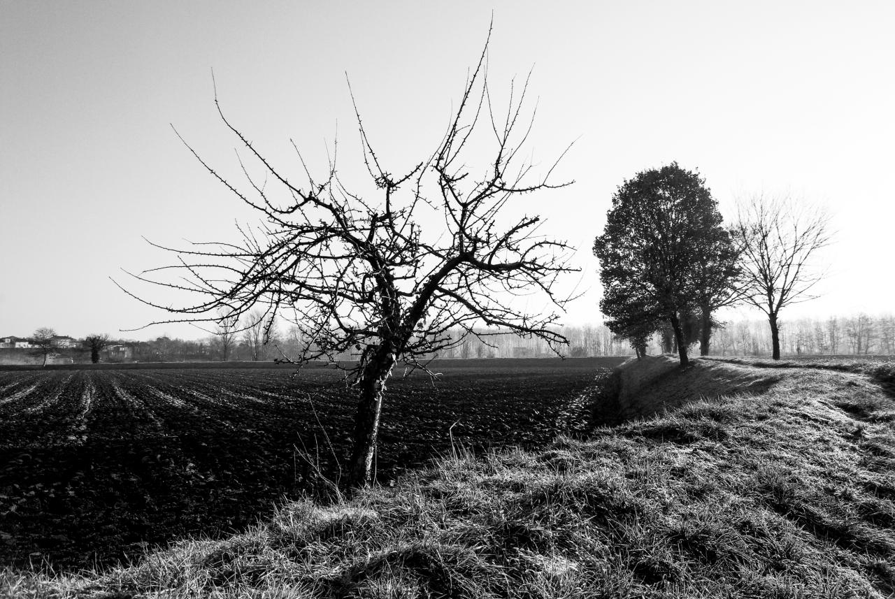 Hiver à St Germain