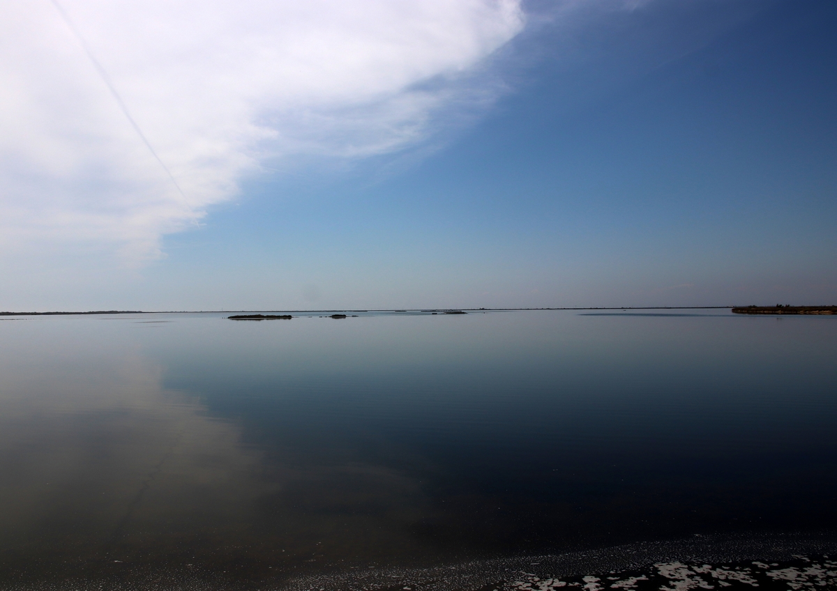 HORIZON