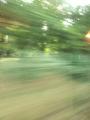 TGV