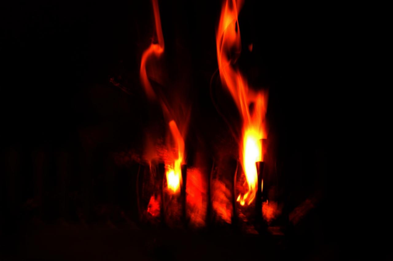 IMG_9087