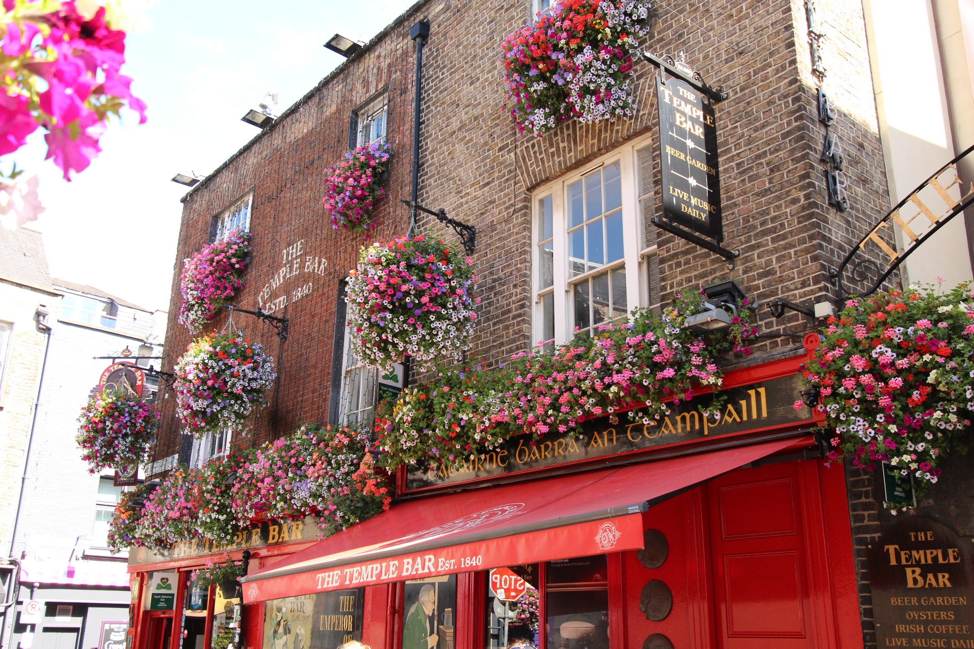 IRLANDE (69)
