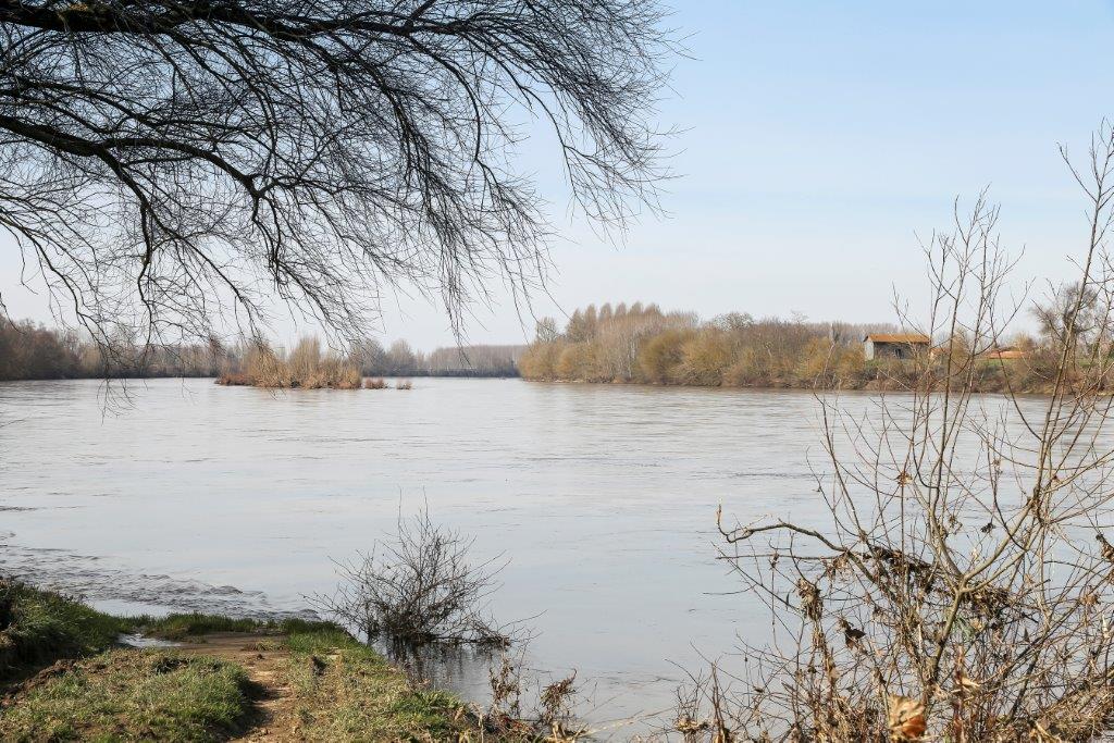 La Garonne au Mas d'Agenais (la cale et l'île))