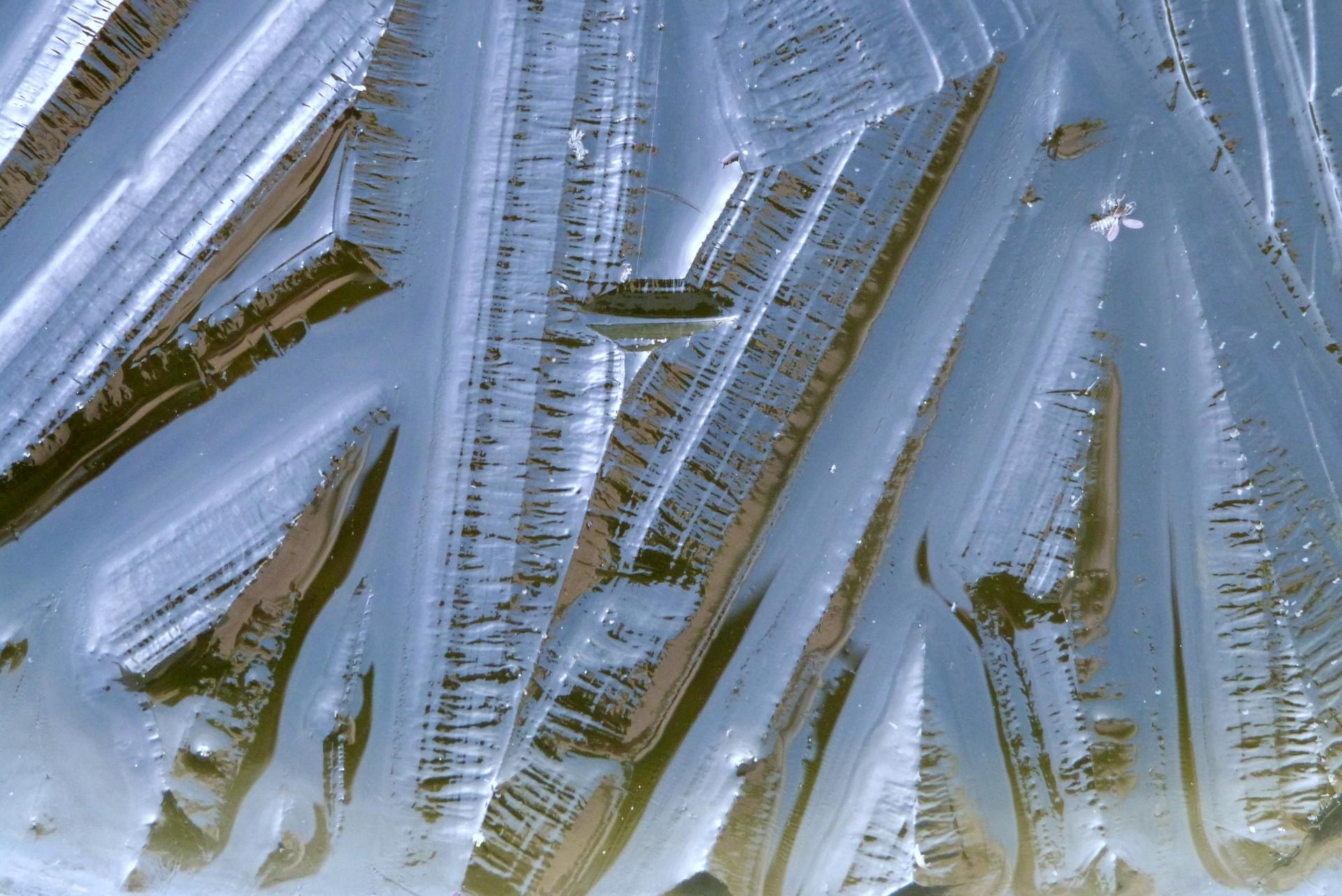la glace