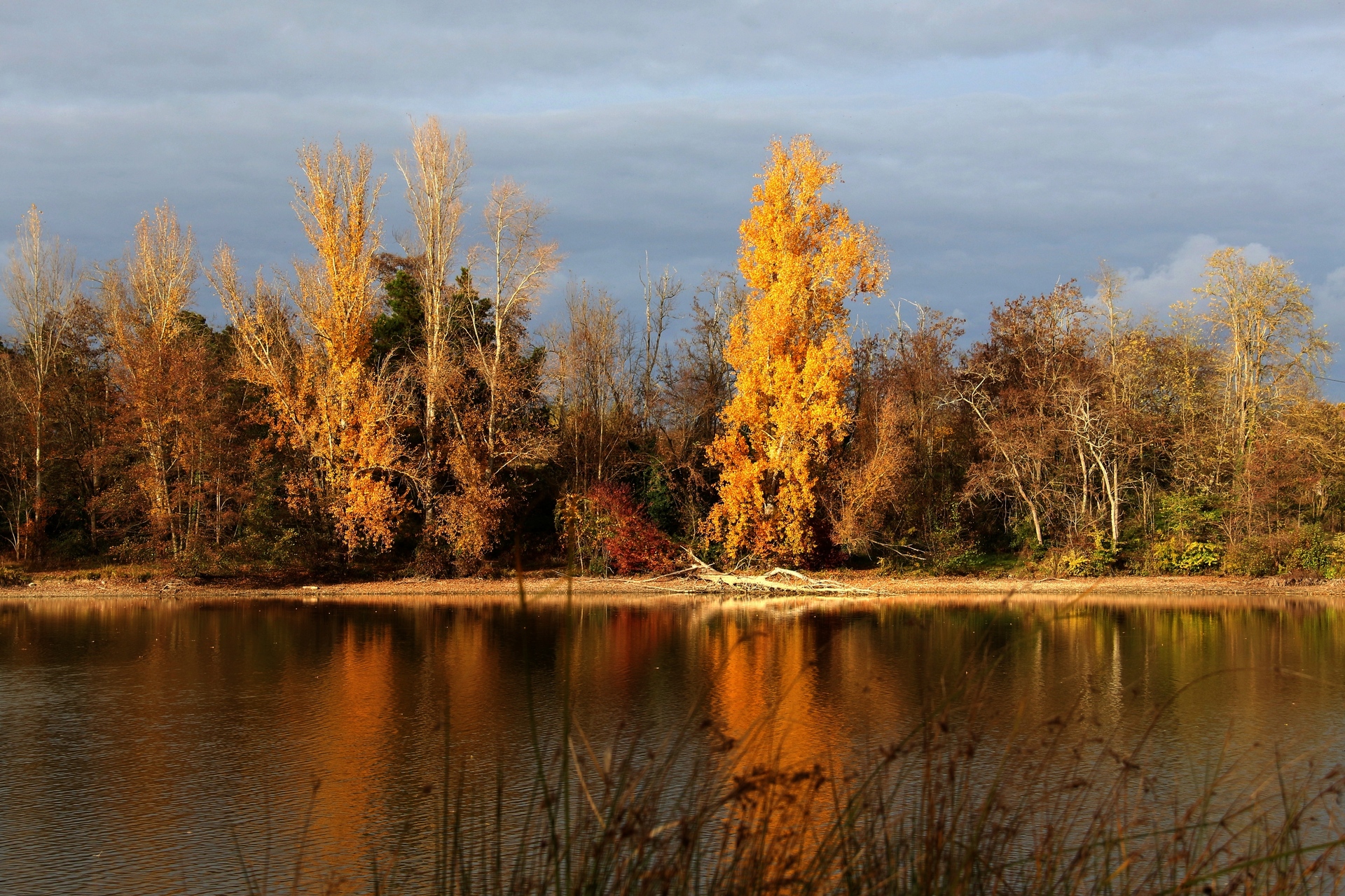 lac de damazan