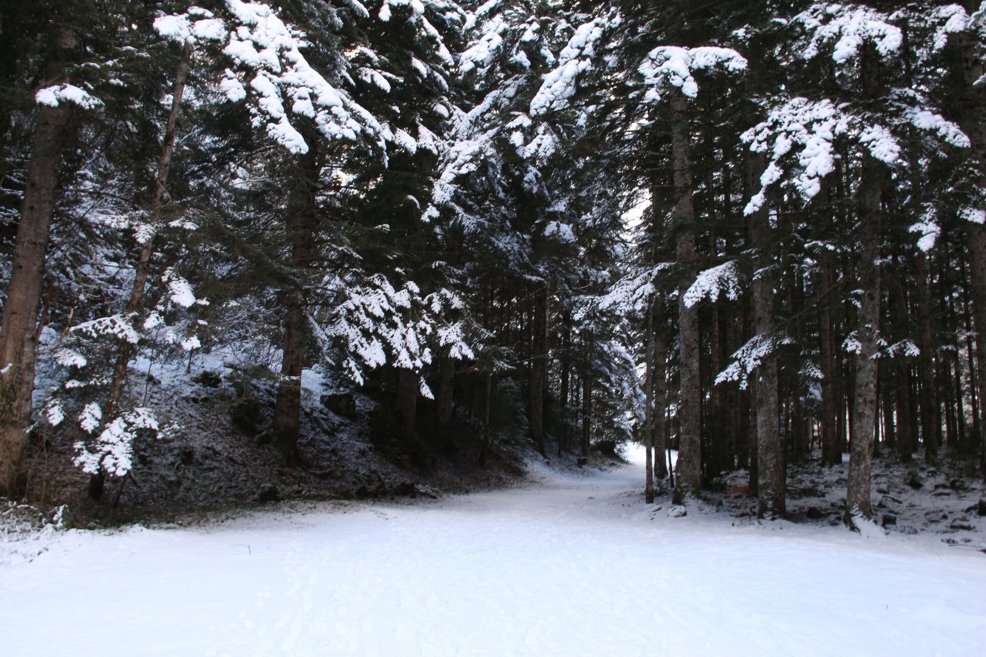 Le sentier