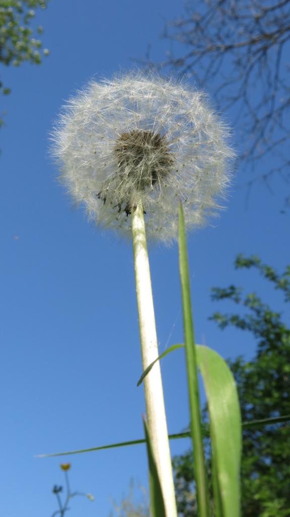 légèreté