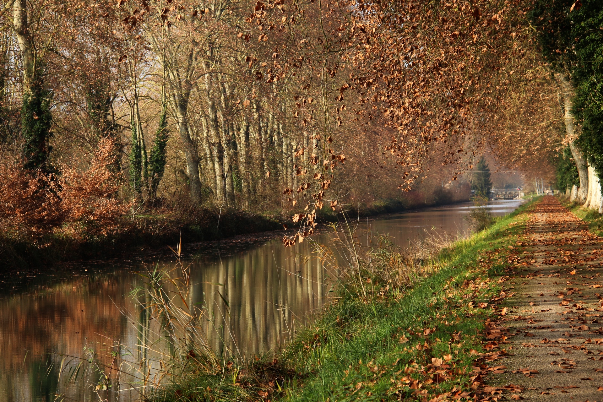 les bords du canal