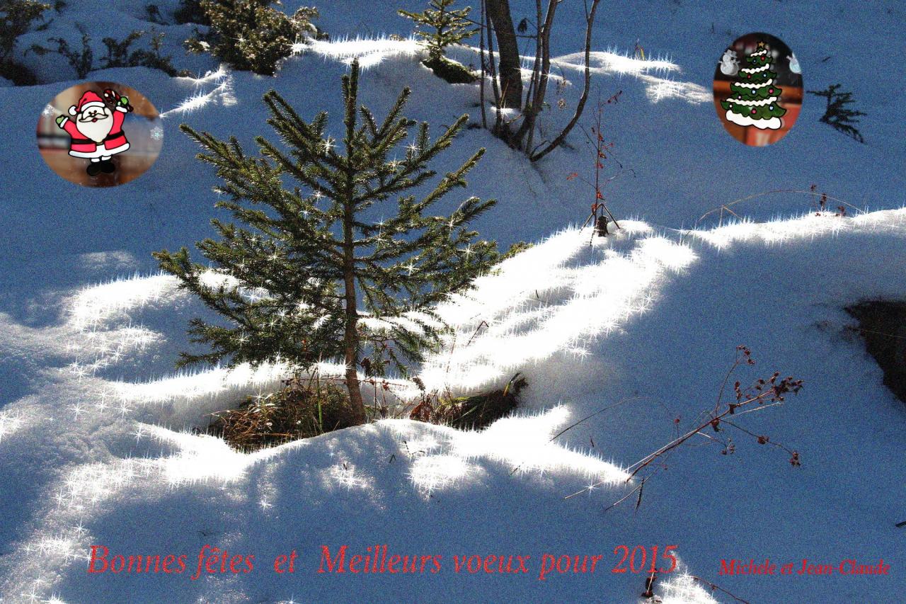 meilleurs voeux 2015