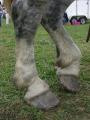 mes pieds