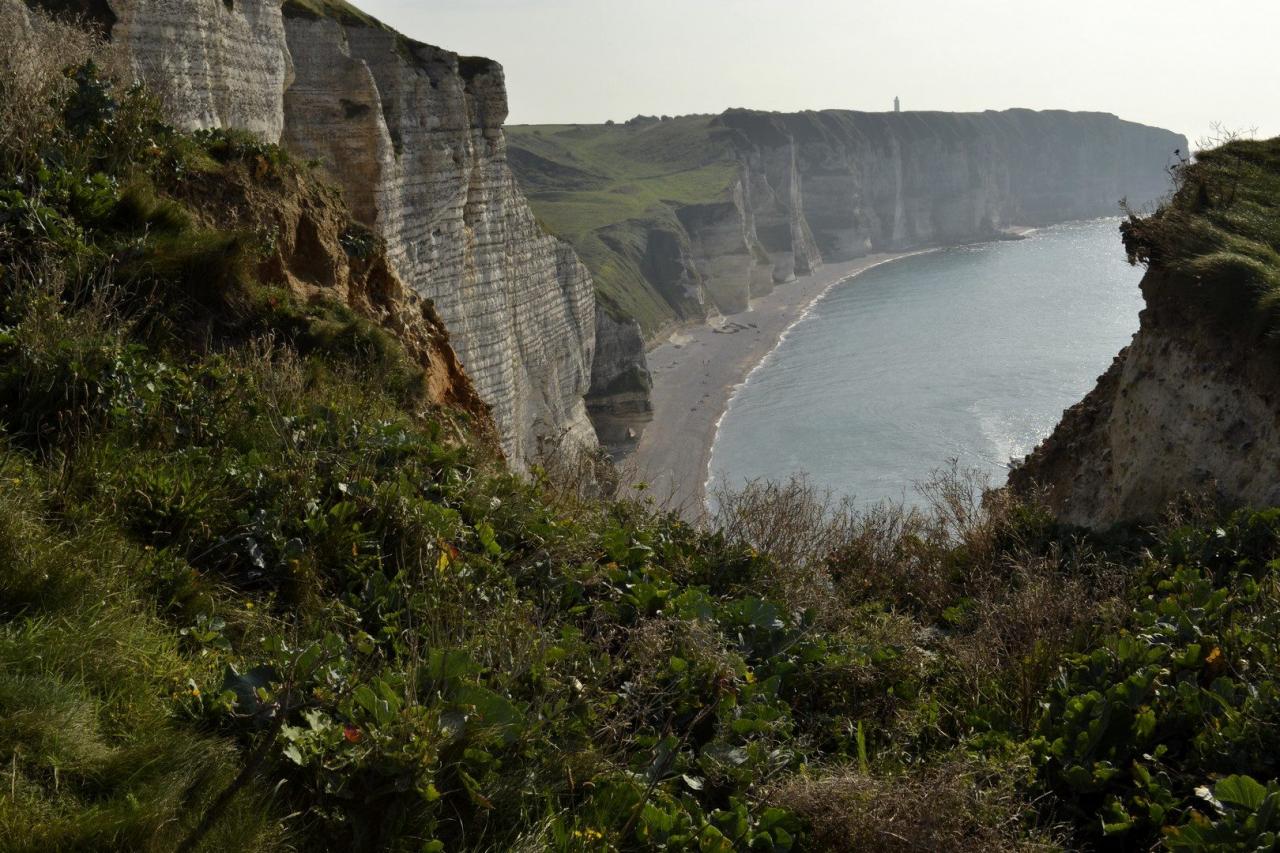 Normandie  côte d'Albatre 2