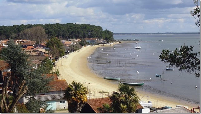 CAP FERRET