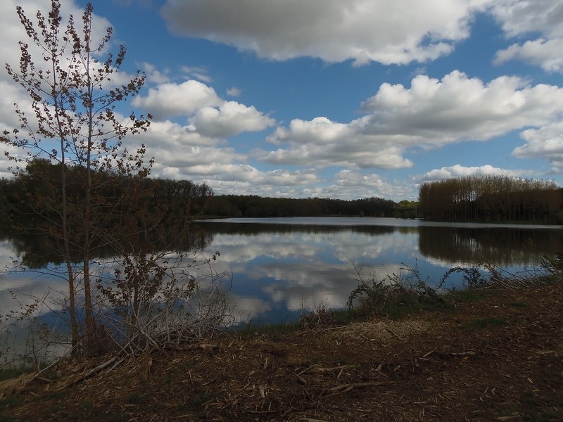 Lac des Graoussettes à ST COLOMB DE LAUZUN