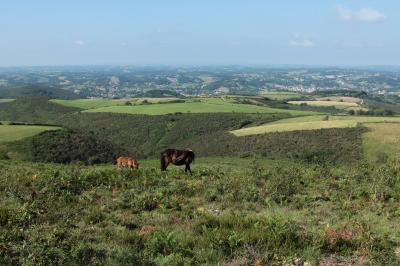Pays basque