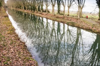 Perspective automnale_R