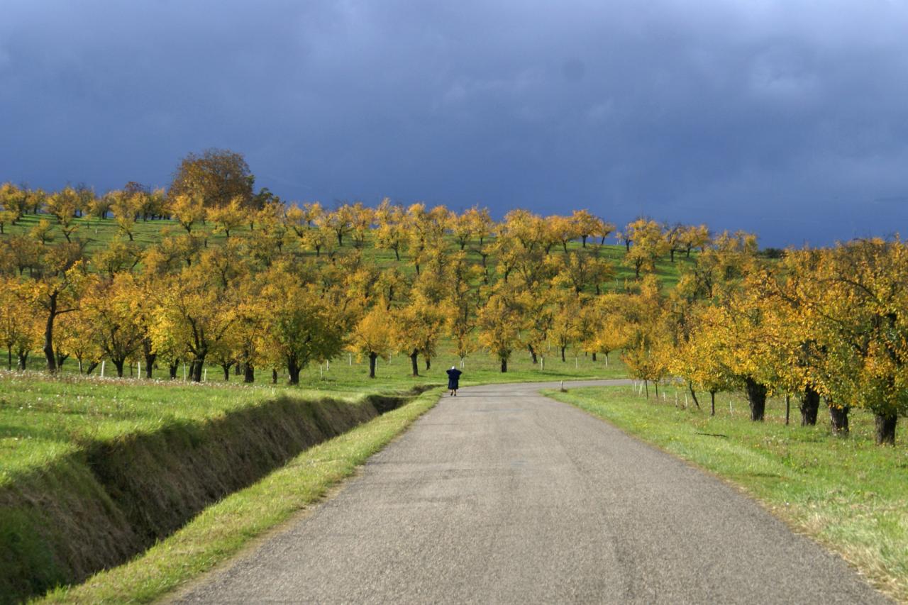 promenade 