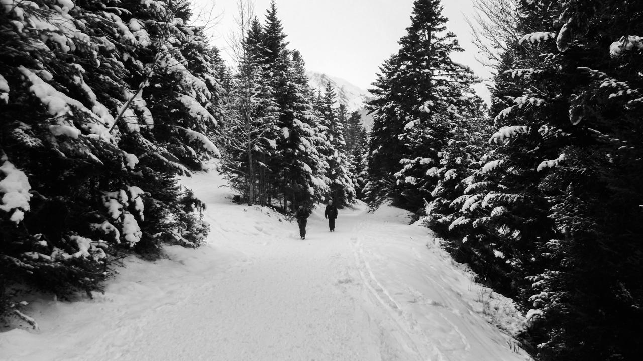 Petite promenade