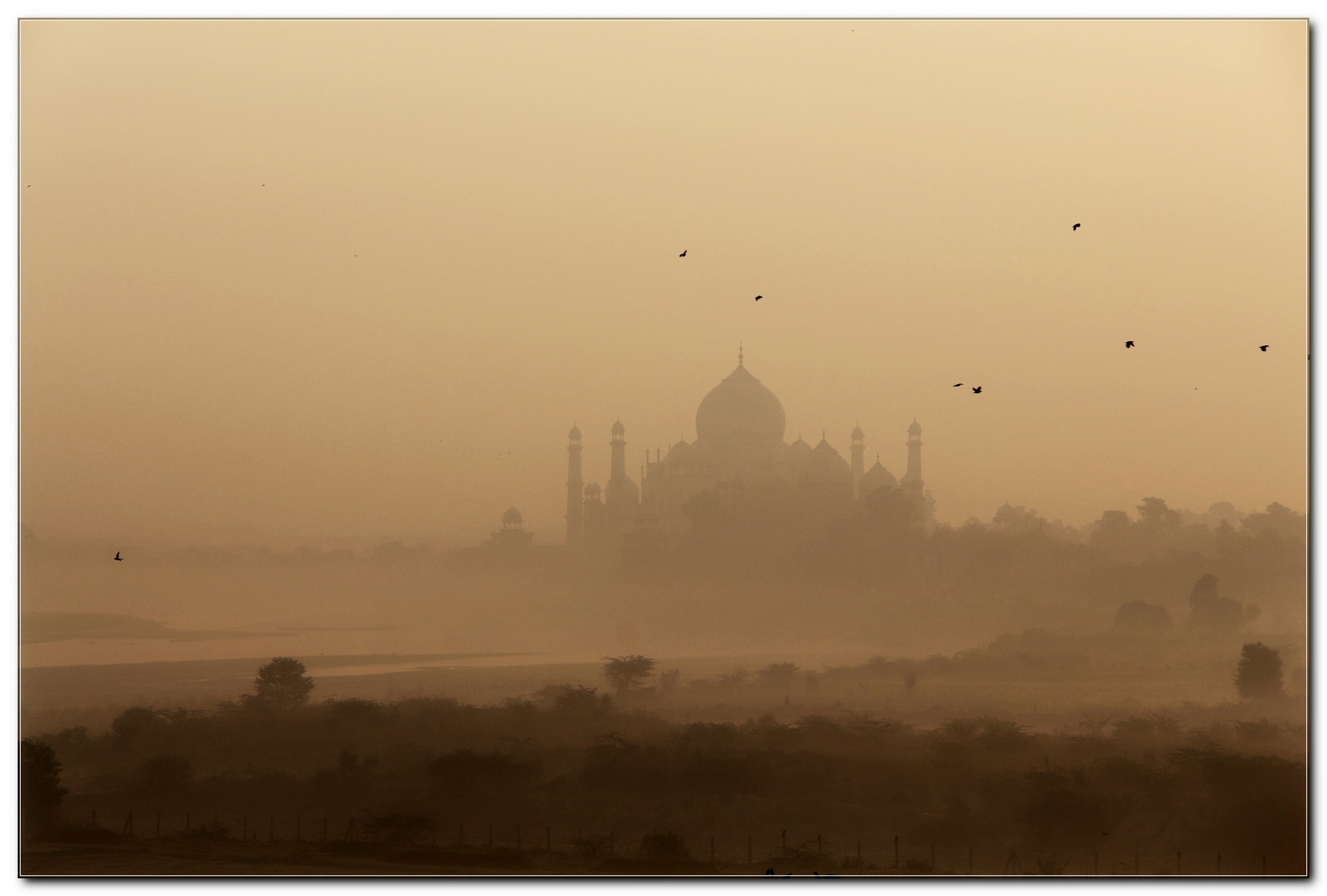 Taj makal