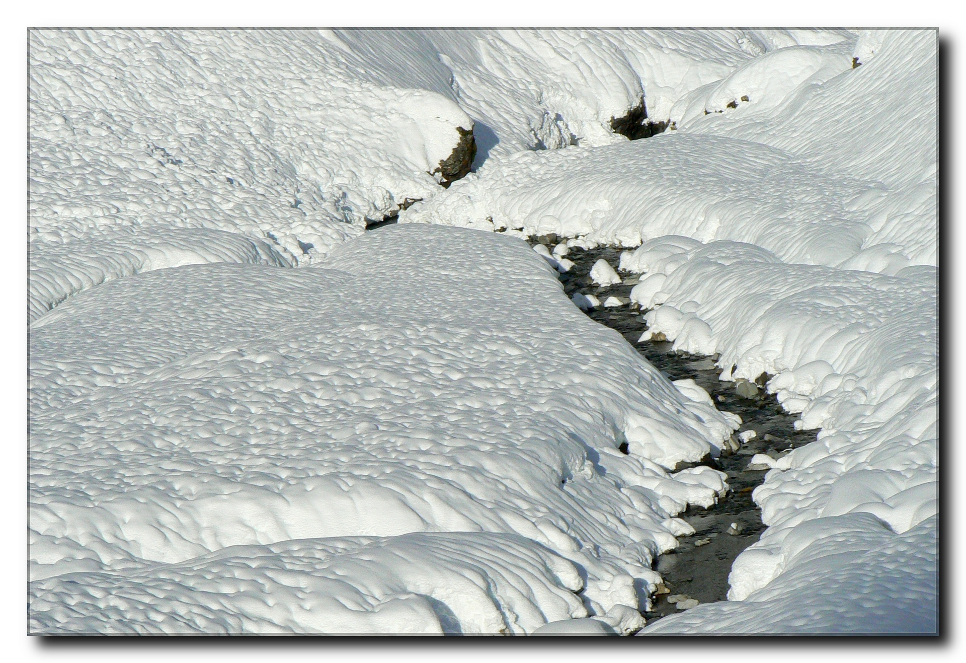 torrent