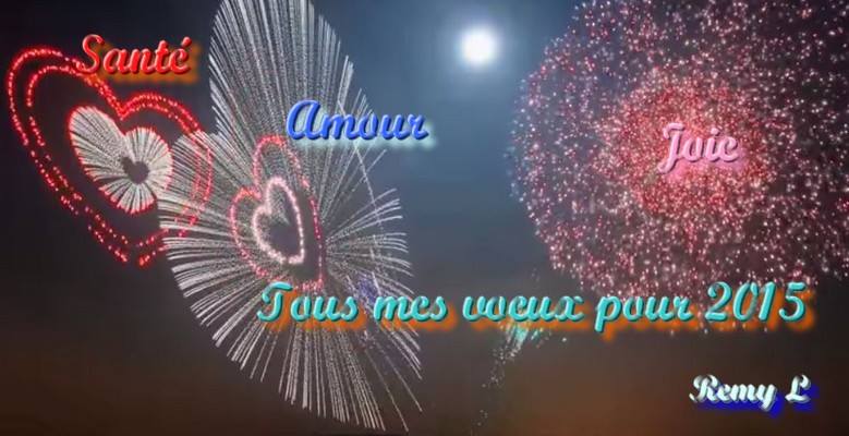 voeux 2015
